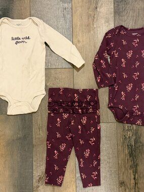 3 Piece Set Carters 18m Purple Pants Long Sleeve Onesies Little Wild Flower